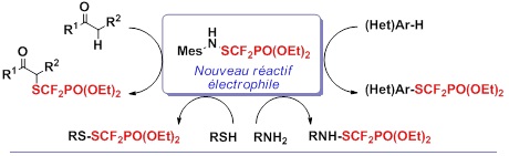 Image retirée.