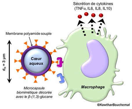 Bouchemal image