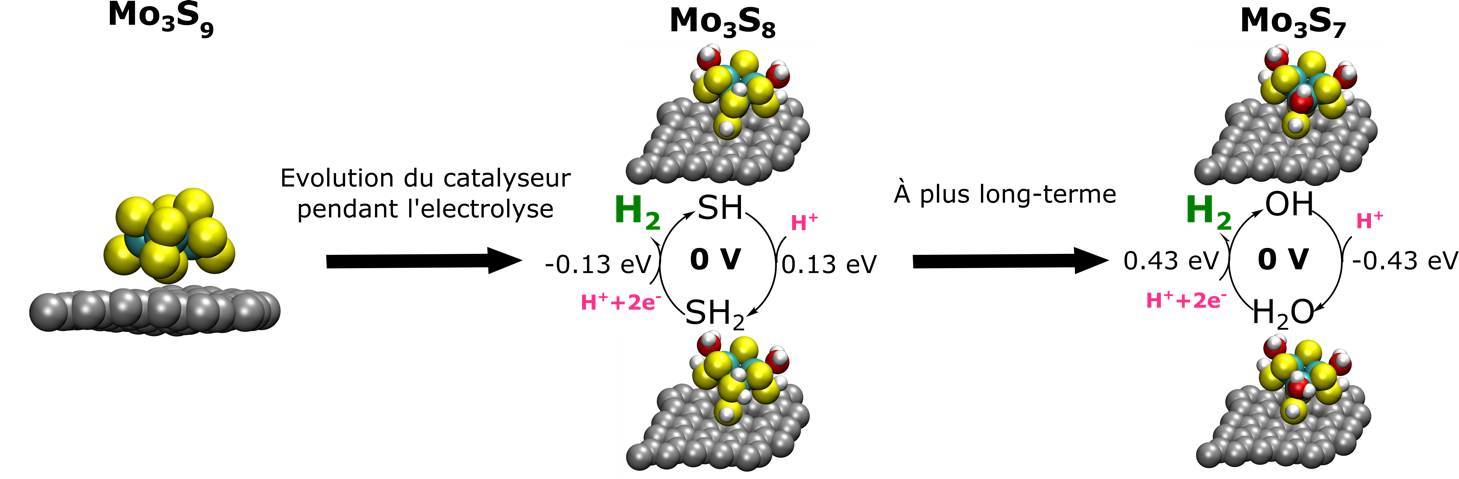 steinmann