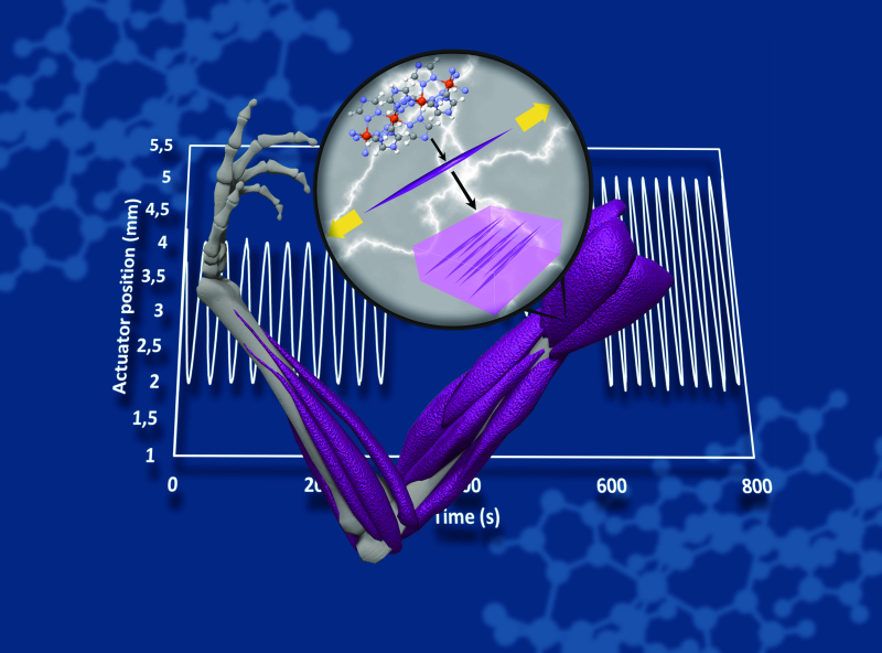 Expansion colossale de nano-composites à base de matériaux à transition de spin : vers le muscle artificiel