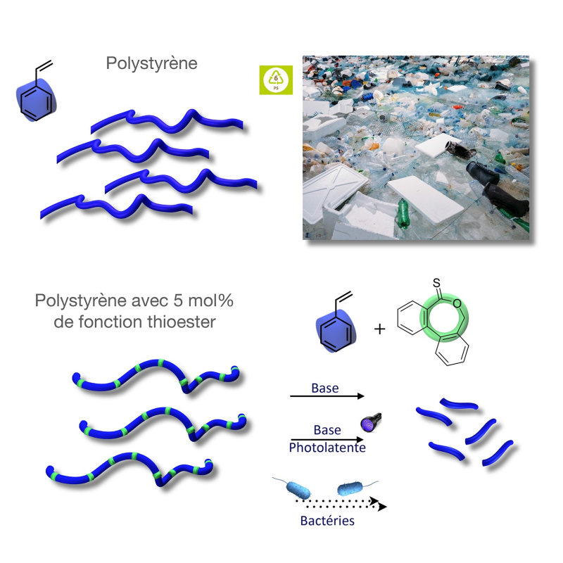 Un nouveau pas vers du polystyrène biodégradable
