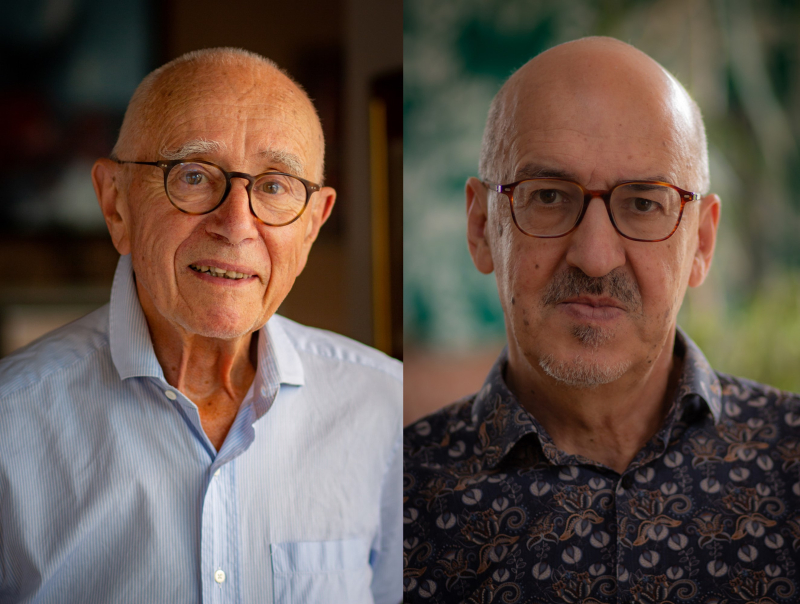 Chimica quantistica: il modello di catena dielettrica immaginato da Jean-Louis Revelle e Daniel Rinaldi festeggia i suoi 50 anni