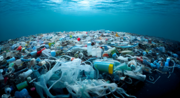 Plastiques indestructibles ? Deux percées pour transformer le polystyrène et le polyéthylène