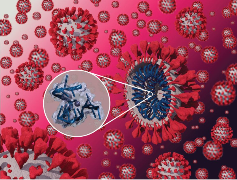 Congelare l’RNA dei virus per impedirne la replicazione