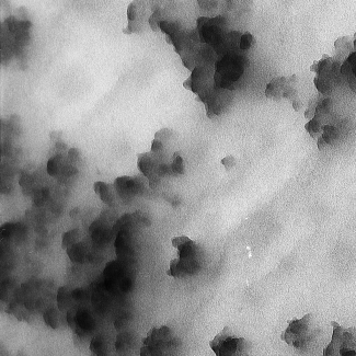 fond blanc grisâtre avec des points noirs répartis de manière désordonnée